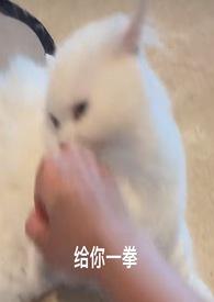 唯女主与小人难养也