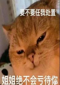 明月烑烑晋江