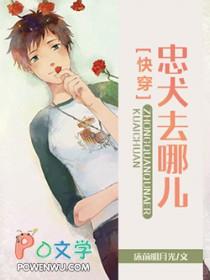 沅沅不止完结在线阅读