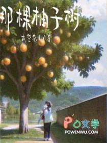 变形金刚zt闪电